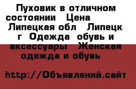 Пуховик в отличном состоянии › Цена ­ 2 500 - Липецкая обл., Липецк г. Одежда, обувь и аксессуары » Женская одежда и обувь   